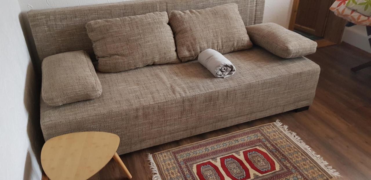 Ziegler - Fingerhut Apartment