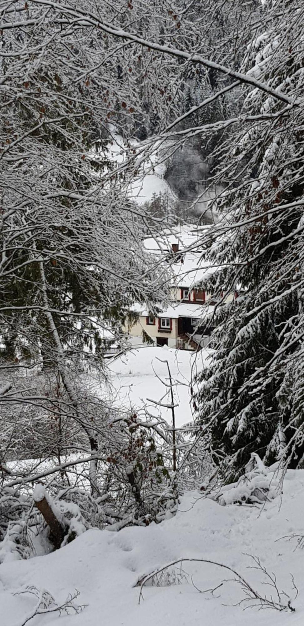 Apartment Ziegler - Fingerhut *